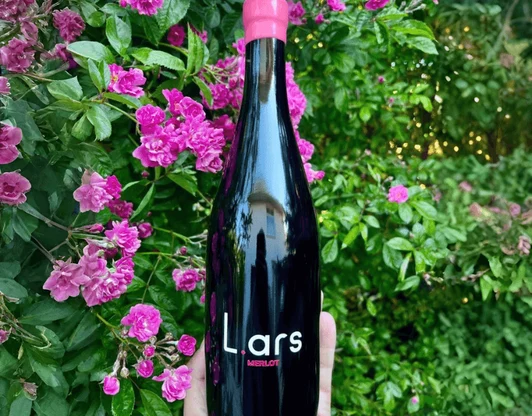 красное, сухое 
"Merlot"
